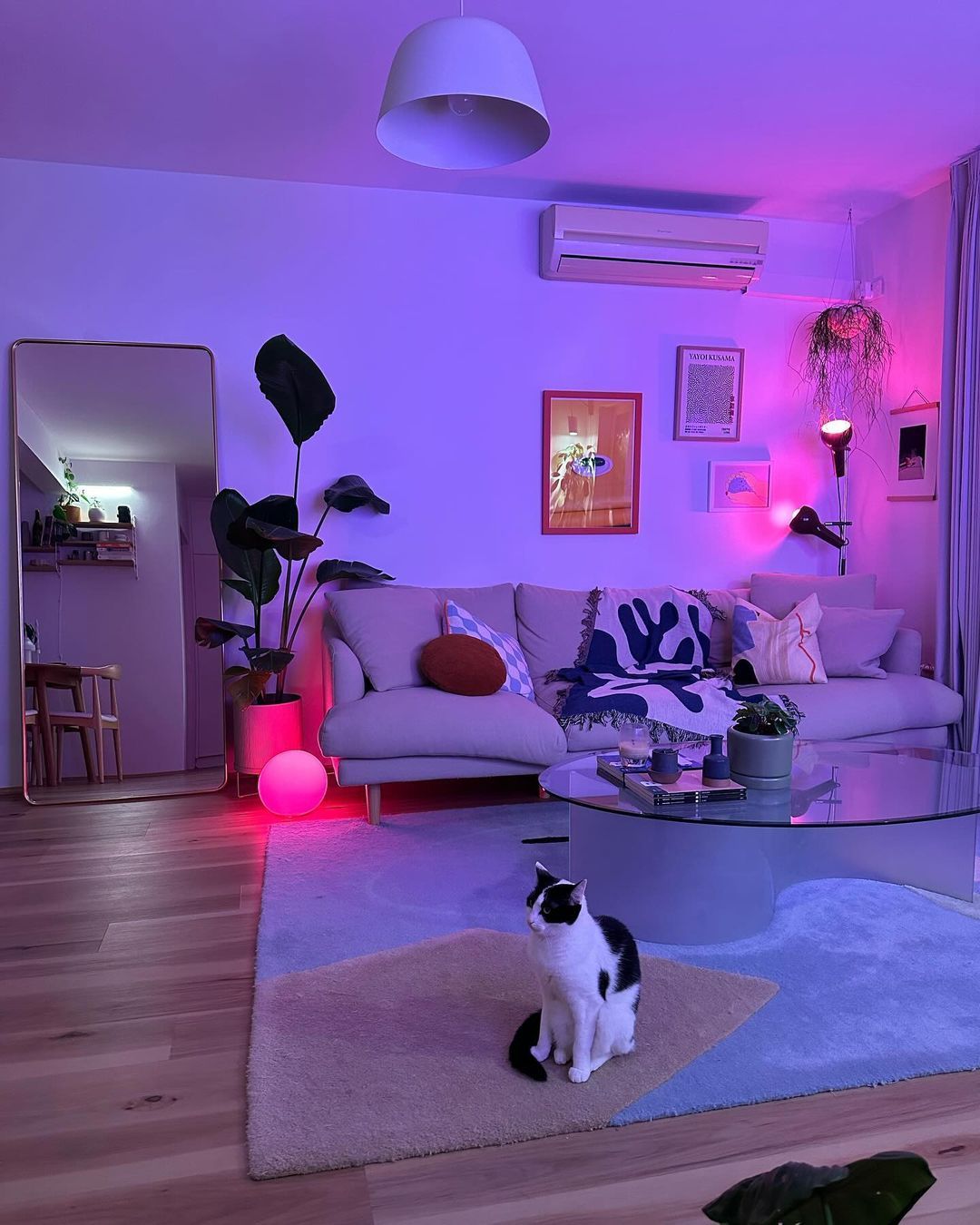Bosch Home Appliances: Discover the Range